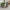 Drypot Split Rattan Basket Set of Four