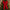 Oversized Velvet Christmas Tree Bow Decoration