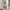 Sculptural 3D Floral Display Vase