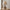 Wood Effect Resin Goose Table Lamp - V2