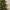6ft Heritage Fir Pre-Lit Artificial Spruce Christmas Tree