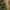 Gingerbread Man with LED Christmas Tree Figurine