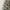 7ft Heritage Fir Snowy Flocked Christmas Tree
