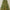 4ft Pre Lit Woodcote Spruce Garland Display