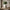 Classic Decorative Vase with Handles