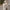Grand Cream Dressed Christmas Santa Figure