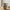 Neutral Speckled Rustic Decorative Jug