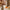 Autumnal Decorative Pumpkin Branch Stem