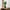Contemporary Ombre Glass Display Vase
