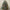 Christmas Tree Ground Stake with Light and Timer