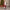 Small Santa Christmas Decoration