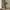 Decorative Floral Pattern Display Vase