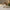 White Ceramic Illuminated House Ornament