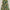 7ft Heritage Fir Frosted Berry Pre-Lit Christmas Tree