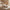 Extra Large Plush Textured Pumpkin Decor