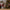 Battery Operated Candy Cane LED String Lights