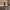 Pumpkin Cinnamon Roll Tube Candle