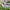 Classic Musically Toned Garden Wind Chime