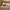 Autumnal Decorative Pumpkin Set