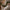 Everest Indoor Decorative LED Garland