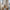 Braided Paper Lantern with Rope Handle Statement Light