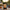 Set of Two Solar Powered Garden Jar Lights