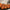 Assorted Decorative Pumpkin Pack of 10 - V2