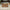 Scalloped Edge Welcome Coir Doormat