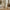 Chic Hotel Shell Rose Table Lamp