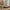 Eline Small Shell Table Lamp