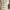 Brixton 4 Tier Floating Ladder Wall Shelf