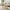 Avantis Duo Wireframe Nesting Side Tables