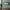 Faux Greenery Neon LED Welcome Sign