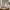 Louise Floating Style Taper Candle Holder