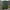 Artificial Maple Leaf Willow Garden Trellis