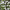 Artificial White Hydrangea Willow Garden Trellis