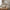 Relica Textured Standing Duck Decoration