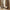 Oslo Irregular Chestnut Wall Mirror