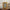 Relica Gold Flower Photo Frame