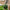 Artificial Boxwood Hanging Topiary Ball