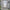 Brixton Wrought Iron Garden Mirror