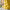 Zesty Abstract 3D Lemon Vase