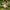 Standing Garden Gnome Decoration