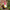 Standing Garden Gnome Decoration