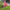 Flamingo Garden Stake Wind Spinner
