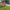 Flamingo Garden Stake Wind Spinner