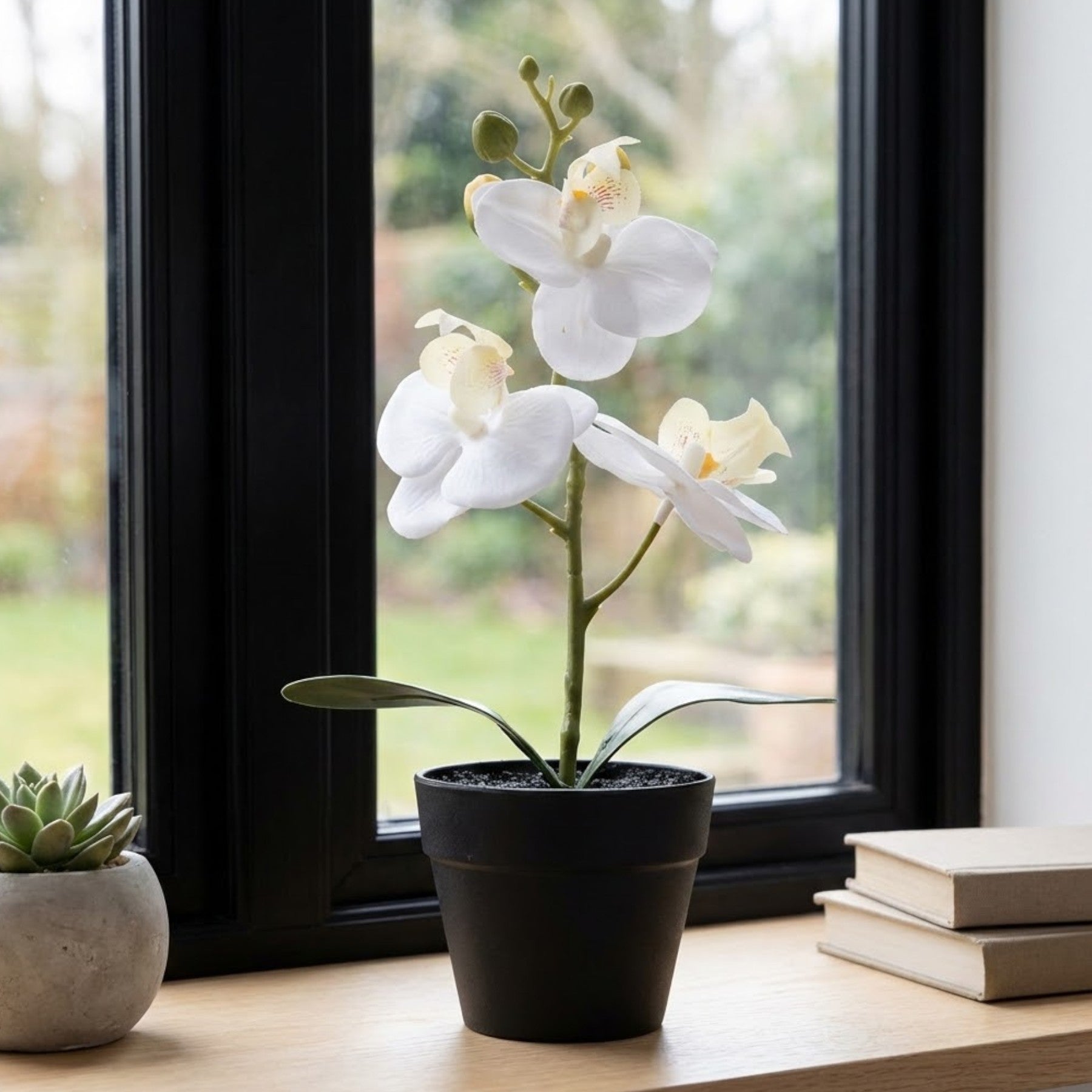 Artificial Blanc Mini Orchid In Pot