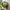 Solar Crescent Floating Wall Planter
