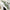 6ft Artificial Eucalyptus Garland
