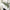 6ft Artificial Eucalyptus Garland
